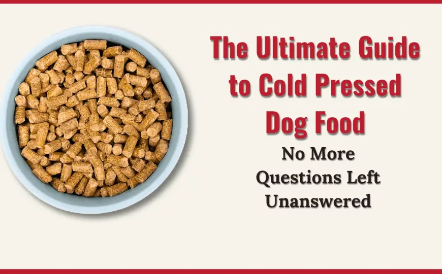 All About Cold Pressed Dog Food: Pro/Cons & Comparison